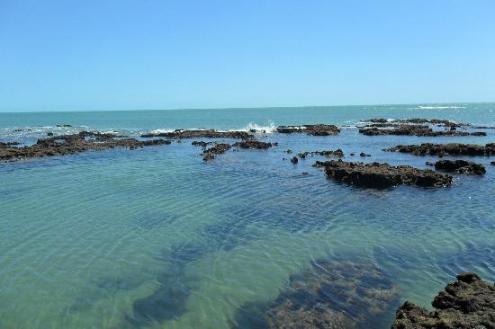 Projeto do BNDES Corais terá ações de conservação nos Recifes de Iparana, em Caucaia, no Ceará
